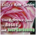 All about Roses and Rose Gardening